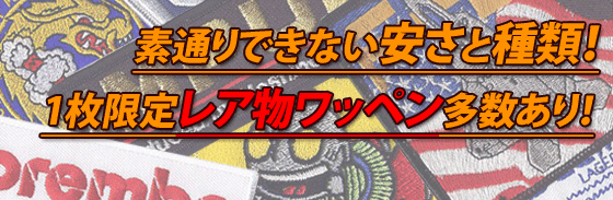 ���̤�Ǥ��ʤ��¤��ȼ��ࡪ1�����쥢ʪ��¿�����ꡪ